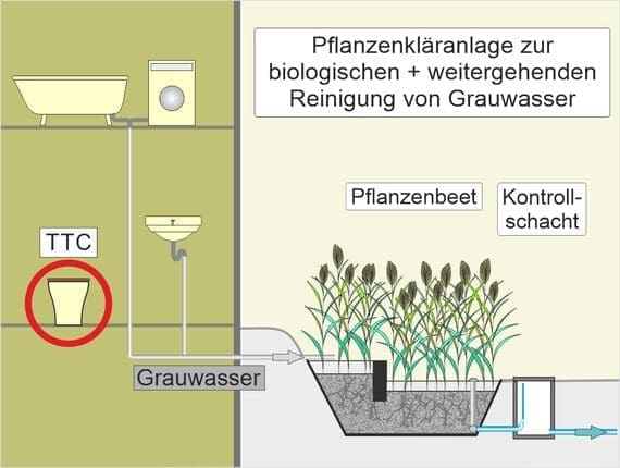Auf der Grafik ist eine Pflanzenkläranlage in Kombination mit unserem TTC abgebildet. Von links nach rechts wird schematisch der Ablauf vom häuslichen Grauwassers über die Pflanzenkläranlage zum Ablauf dargestellt.