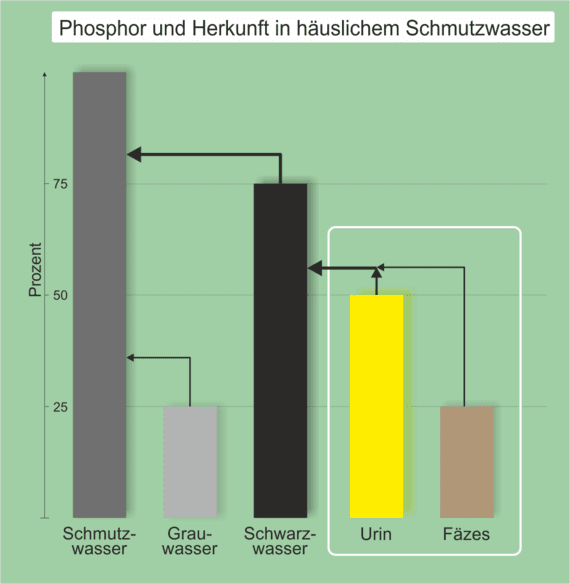 Auf der Grafik wird die Herkunft des Phosphors in unserem häuslichen Abwasser dargestellt. Hier fällt ein Großteil auf das Schwarzwasser zurück. Wobei hier ein größerer Teil beim Urin und ein weitere Teil bei den Fäzes ist. Das Grauwasser spielt eine untergeordnete Rolle.