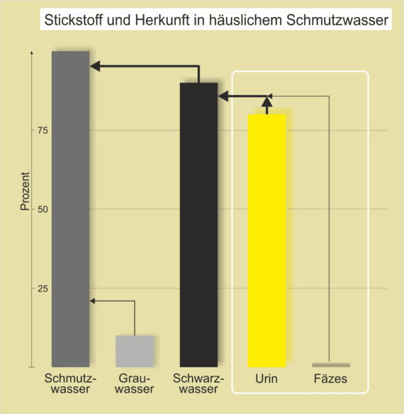 Auf der Grafik wird die Herkunft des Stickstoffs in unserem häuslichen Abwasser dargestellt. Hier fällt ein Großteil auf den Urin zurück.